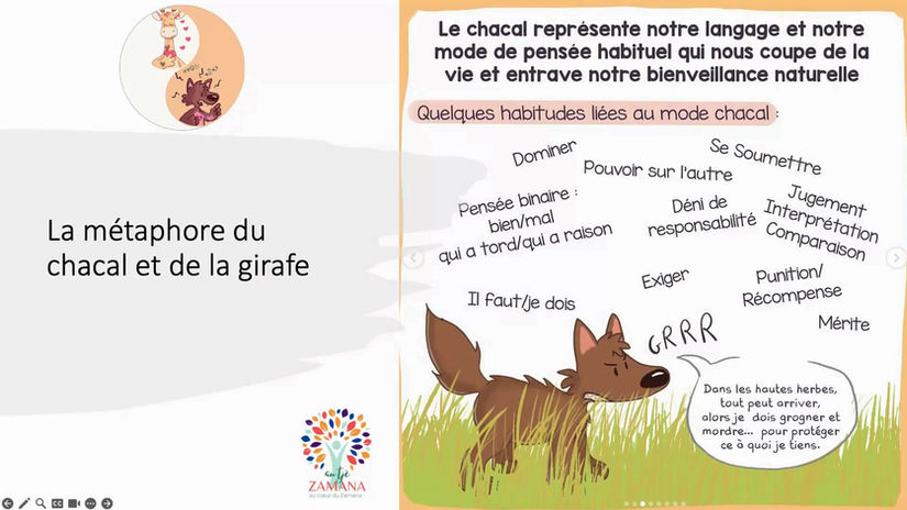 LES FONDEMENTS DE LA CNV 2